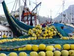 Hout Bay harbour: net_hb_6A25b