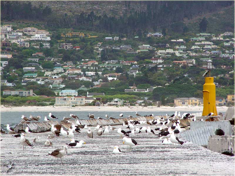 Hout Bay beach with harbour entry